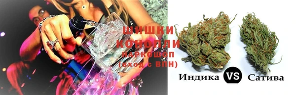 прущая мука Ельня