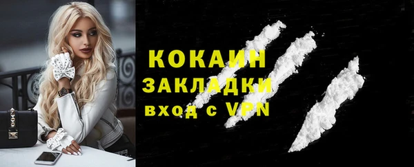 прущая мука Ельня